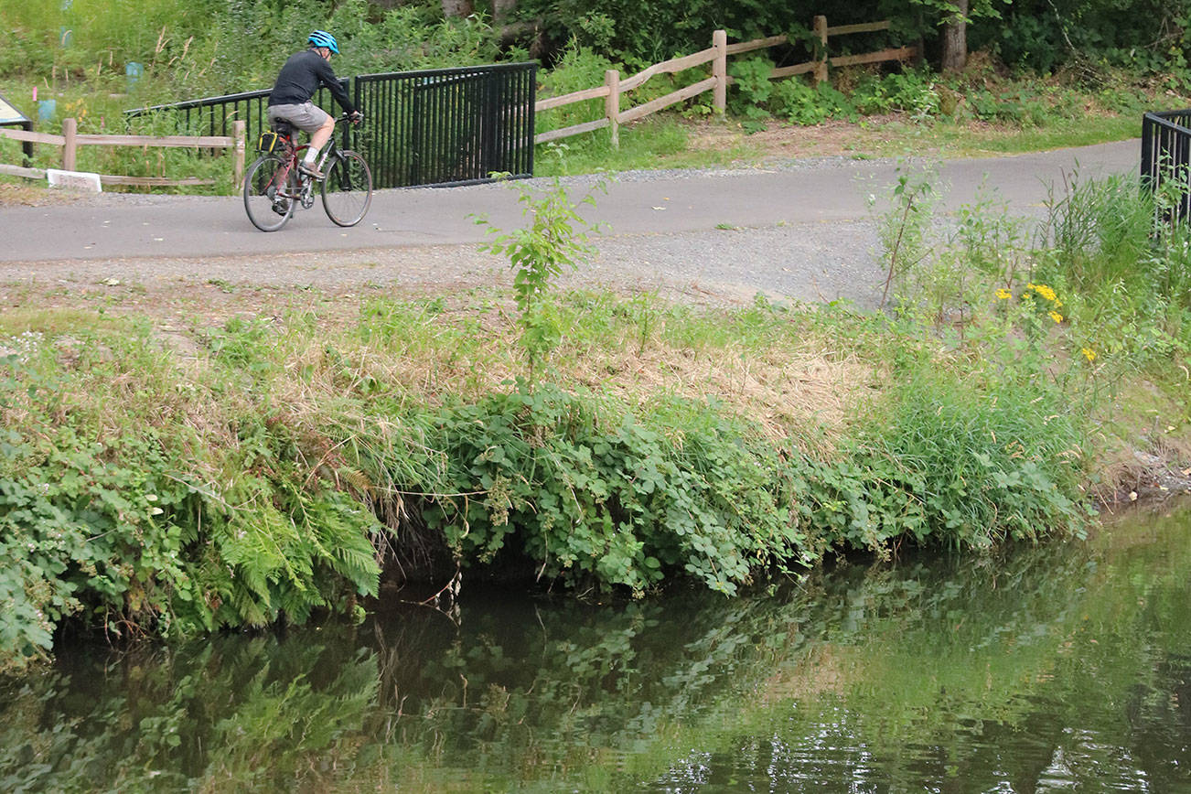 Hikers and bikers of all levels can get up and go on multitude of trails