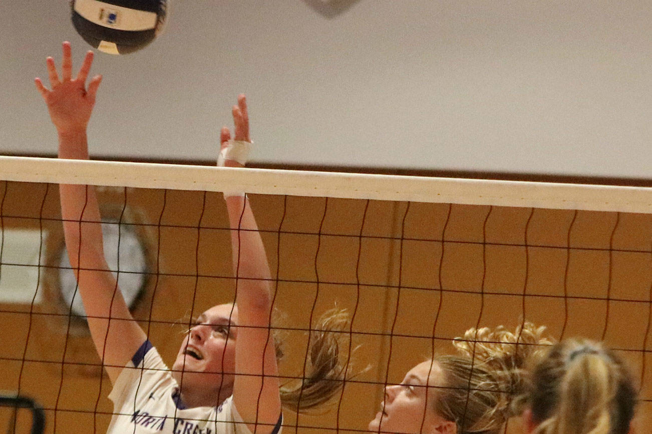 Jaguars clinch berth in 4A state volleyball tournament