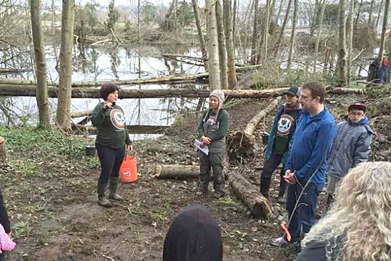 A community-led environmental project along Hamm Creek was partially funded by a King County WaterWorks Grant. Courtesy of King County Wastewater Treatment Division.