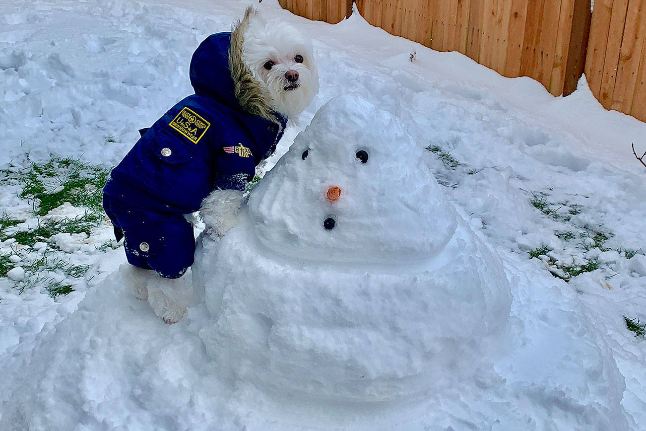 Snow hits lowland areas of King County