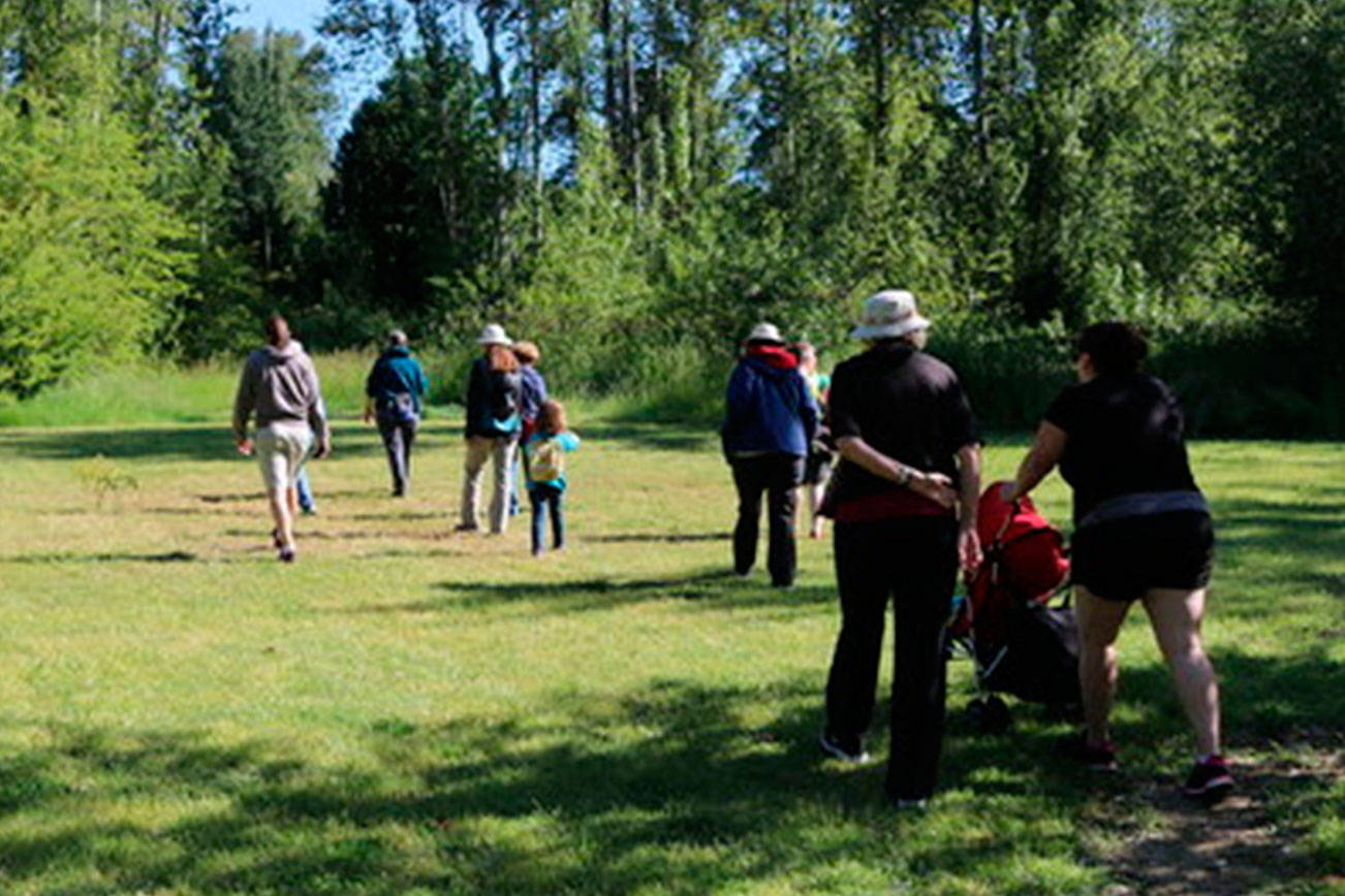 Nature walks underway at Wallace Swamp Creek in Kenmore