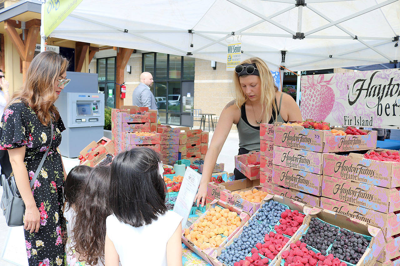 A group of young shoppers check out the berry selection at the new market.Stephanie Quiroz/staff photos
