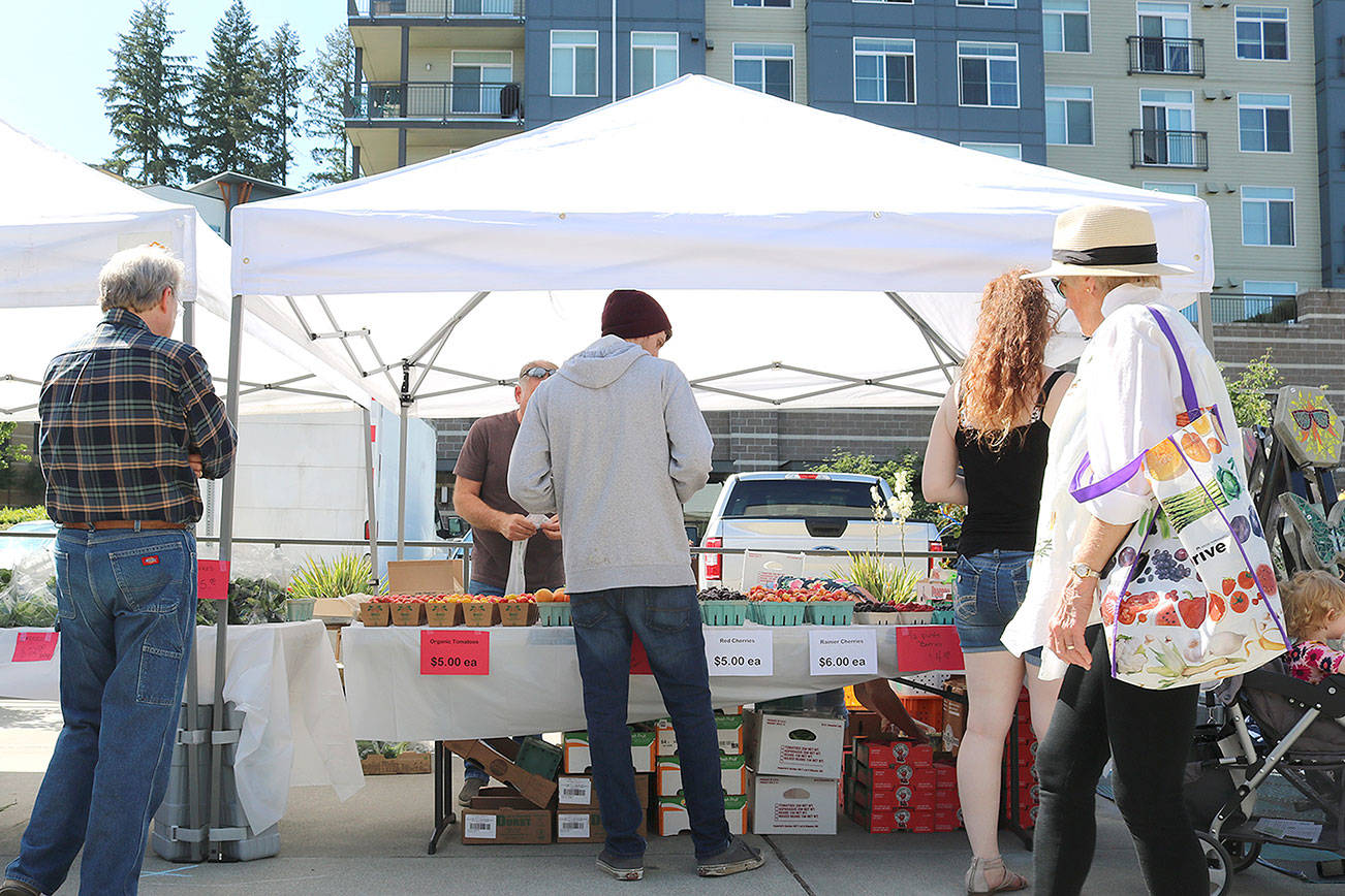 The new Bothell Friday Market will run from 3-8 p.m., every Friday through Sept. 27. Stephanie Quiroz/staff photo