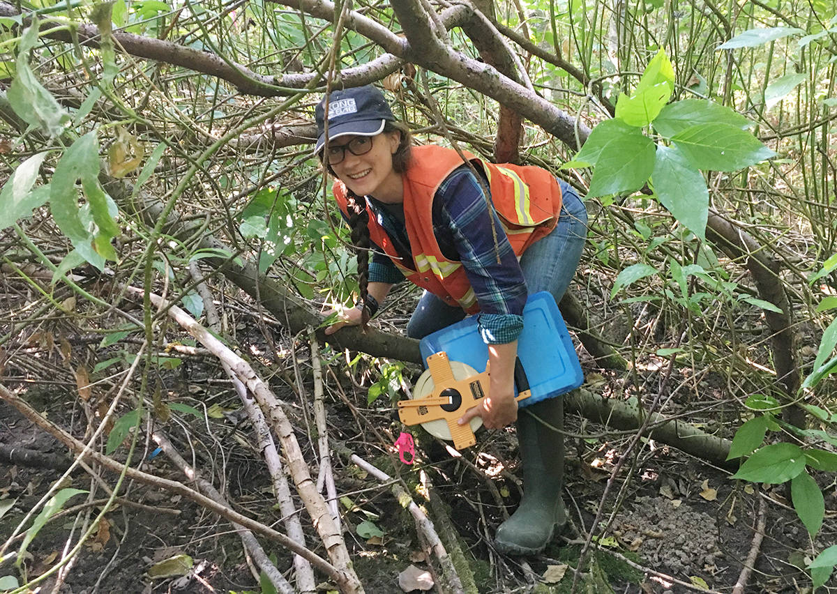 A Day in the Life of an Environmental Intern