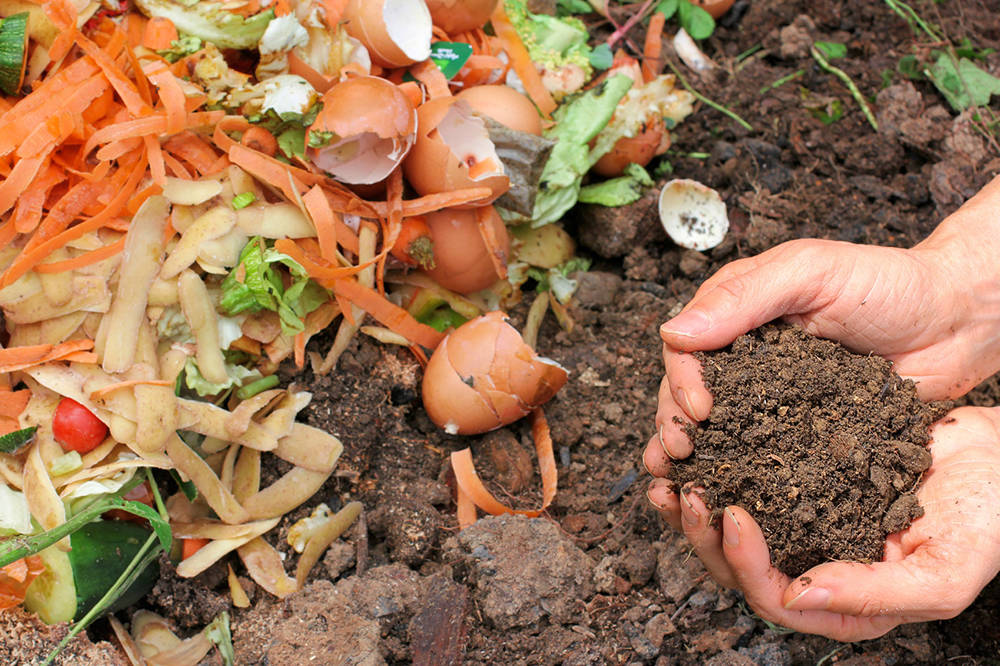 King County is considering ways to increase both the supply of and demand for compost to help divert organic material from the landfill. File photo