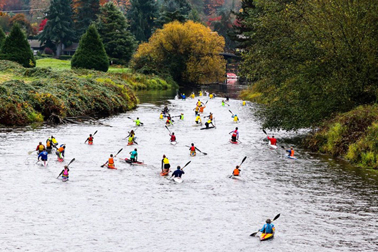 Canoe and kayak racers compete on Sammamish River in Bothell