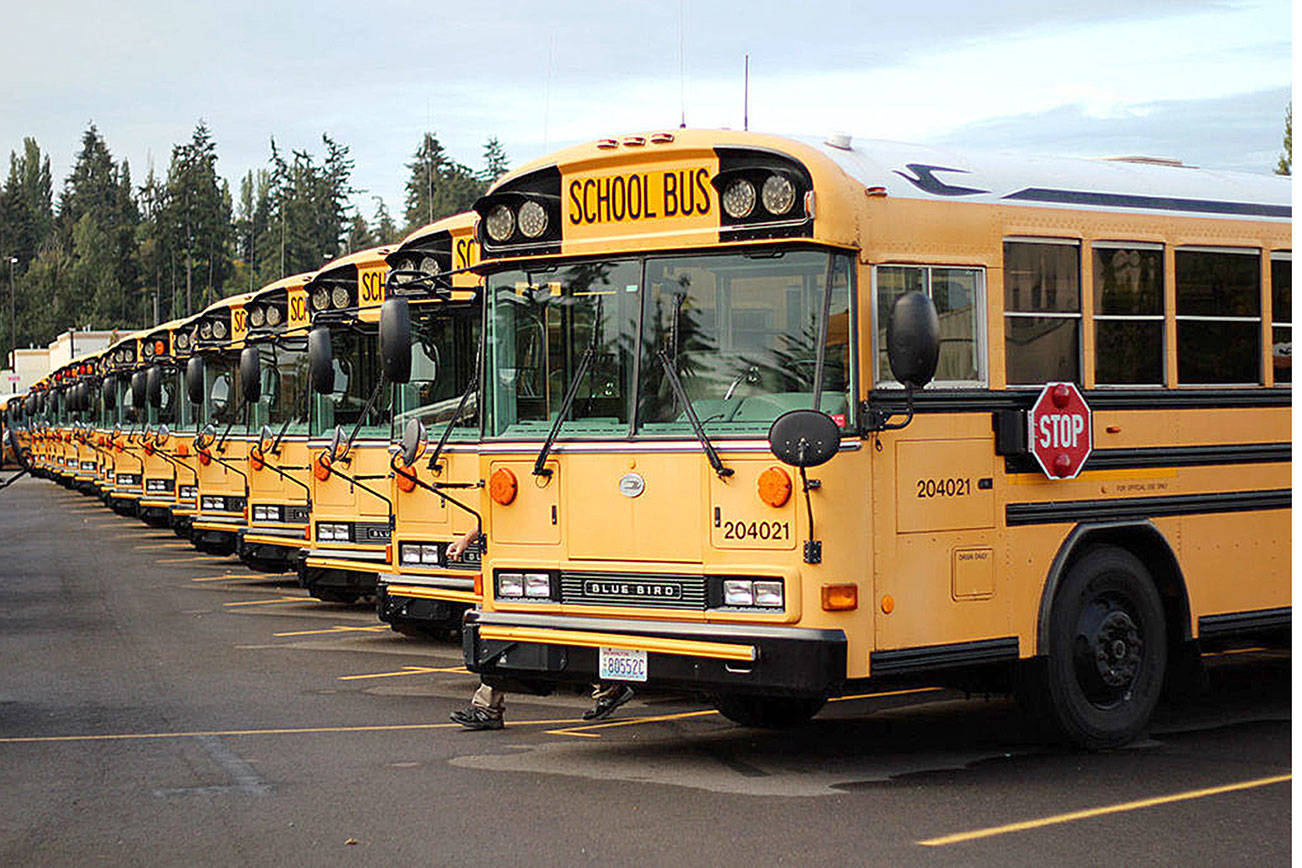 NSD buses. File photo