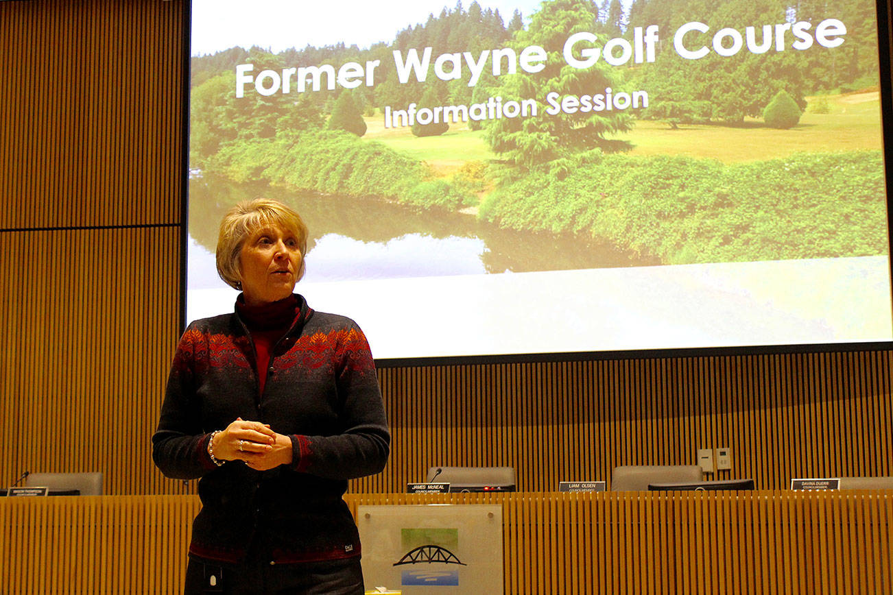 Blake Peterson/staff photo                                City manager Jennifer Phillips was one of the speakers at the Jan. 16 information session.