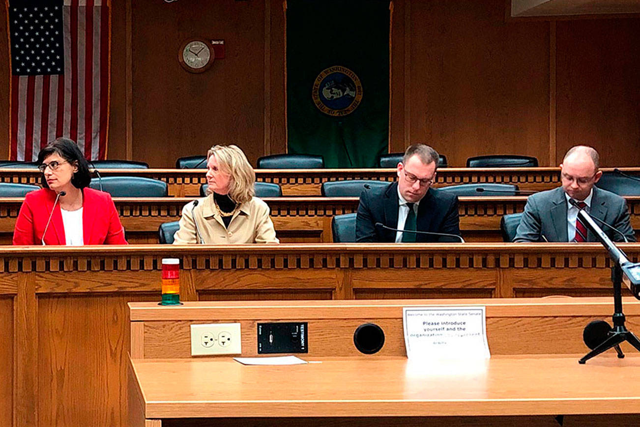 Discussing homelessness on Jan. 9 are, from left, Associated Press Olympia correspondent Rachel La Corte, Rep. Nicole Macri (D-Seattle), Sen. Patty Kuderer (D-Bellevue), Sen. Hans Zeiger (R-Puyallup) and Rep. Morgan Irwin (R-Enumclaw). Photo by Leona Vaughn/WNPA News Service