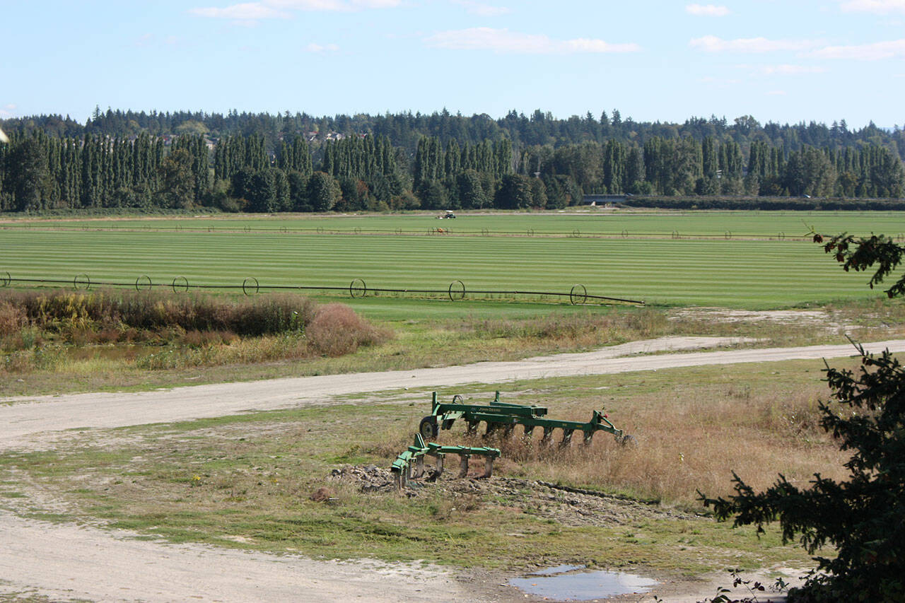 The Sammamish Valley is home to a collection of farms, wineries and tasting rooms. File photo
The Sammamish Valley is home to a collection of farms, wineries and tasting rooms. File photo