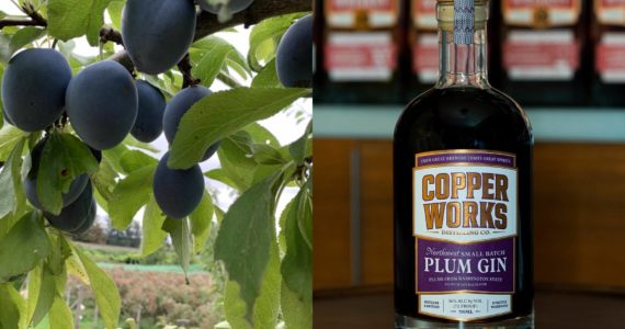 (Left) Close up of plums from Lazy River Farm in Kent, (right) Copperworks Distilling Co.’s Plum Gin (Courtesy of Copperworks Distilling Co.)