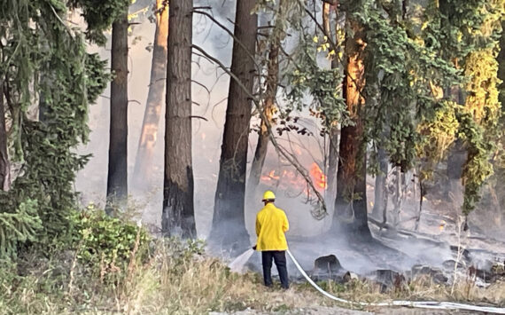 Firefighters from four agencies extinguished a brush fire Wednesday evening, Aug. 16 in the 3300 block of South 260th Street on the West Hill in Kent. COURTESY PHOTO, Puget Sound Fire
