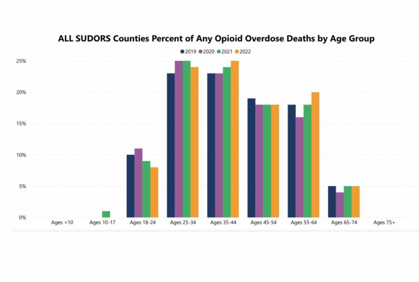 <p>Screenshot of SUDORS from Dept. of Health website</p>