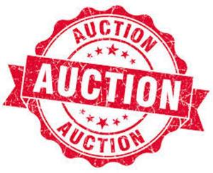 The Bothell Chamber of Commerce is hosting an auction.