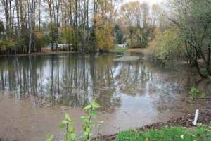 One caller to the Bothell-Kenmore Reporter dubbed the new stretch of water
