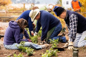 The city of Kenmore will host its next city-wide volunteer opportunity to help beautify local Kenmore parks at 9 a.m. on March 29.