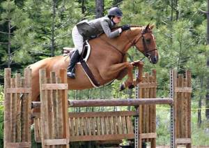 Jodie Davis during her horse-riding days.