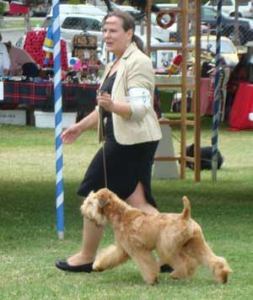 Bothell resident Elena Landa