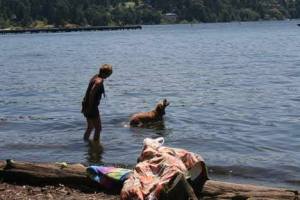 Debi Hawkins and her golden retriever/therapy dog