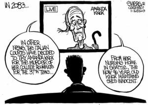 The Italian courts have decided to try Amanda Knox again | Cartoon for Nov. 27