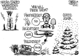 Who will finish the wildfires?