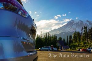 Going (Nissan) Rogue on Paradise