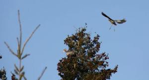 At around 4:45 p.m. last Friday