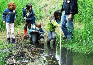 Woodinville Montessori School students help restore Parr Creek to a more natural state.
