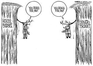 The great divide in Olympia | Cartoon for June 8