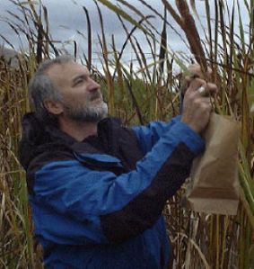 University of Washington