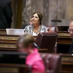 Rosemary McAuliffe participates in the 2013 second special session of the Washington State Senate. Contributed photo