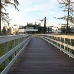 A boardwalk cuts through a wetland area on the campus of North Creek High School. The building is designed to allow maximum natural light, both cutting down on utilities cost and allowing students and staff a glimpse of the outdoors. JOHN WILLIAM HOWARD/Bothell-Kenmore Reporter