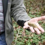 Shelton View Forest Stewardship Association (SVFSA) board member Bob Rorabaugh holds a slug in the forest. CATHERINE KRUMMEY / Bothell Reporter