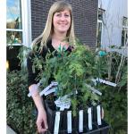 Kenmore receives 10 young Coast Redwood trees