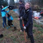 Volunteers sought to invade Kenmore’s Swamp Creek via canoe for replanting