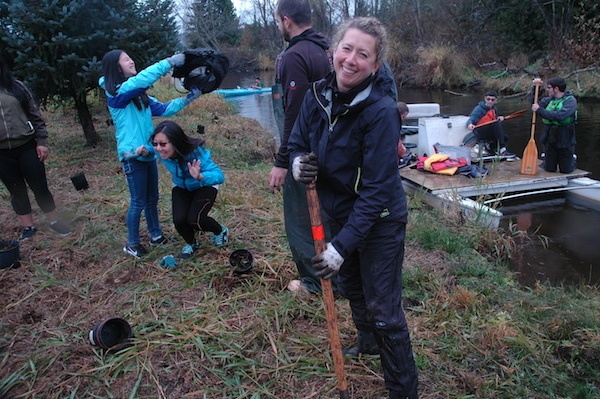 Volunteers sought to invade Kenmore’s Swamp Creek via canoe for replanting