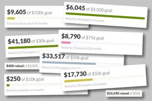 Measures of success from a selection of GoFundMe campaigns by or for people in Snohomish County.