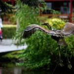 Even on a rainy afternoon such as Thursday, sights and sounds around Bothell&rsquo;s Country Village are friendly and inviting. (Dan Bates / The Herald)