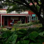 On a drizzly afternoon, Thursday, a girl finds cover on the arm of a bench at the edge of another cozy setting at Bothell&rsquo;s Country Village. The unique village atmosphere provides something special. The family that owns the Country Village, however, has signed a letter of intent with a national developer to sell the property contingent on a feasibility study. (Dan Bates / The Herald)