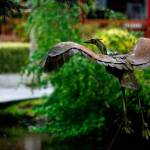 Even on a rainy afternoon such as Thursday, sights and sounds around Bothell&rsquo;s Country Village are friendly and inviting. (Dan Bates / The Herald)
