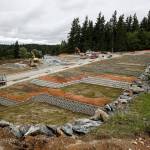 Ian Terry / The Herald Parkview Ridge, a 54-home devleopment, is seen in Bothell on Thursday, June 1. Photo taken on 06012017