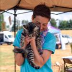 A few of the cats and dogs that were available for adoption at the Bow Wow Meow Luau adoption event.