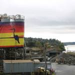Mural goes up around CalPortland silos in Kenmore