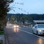 Courtesy of the City of Kenmore