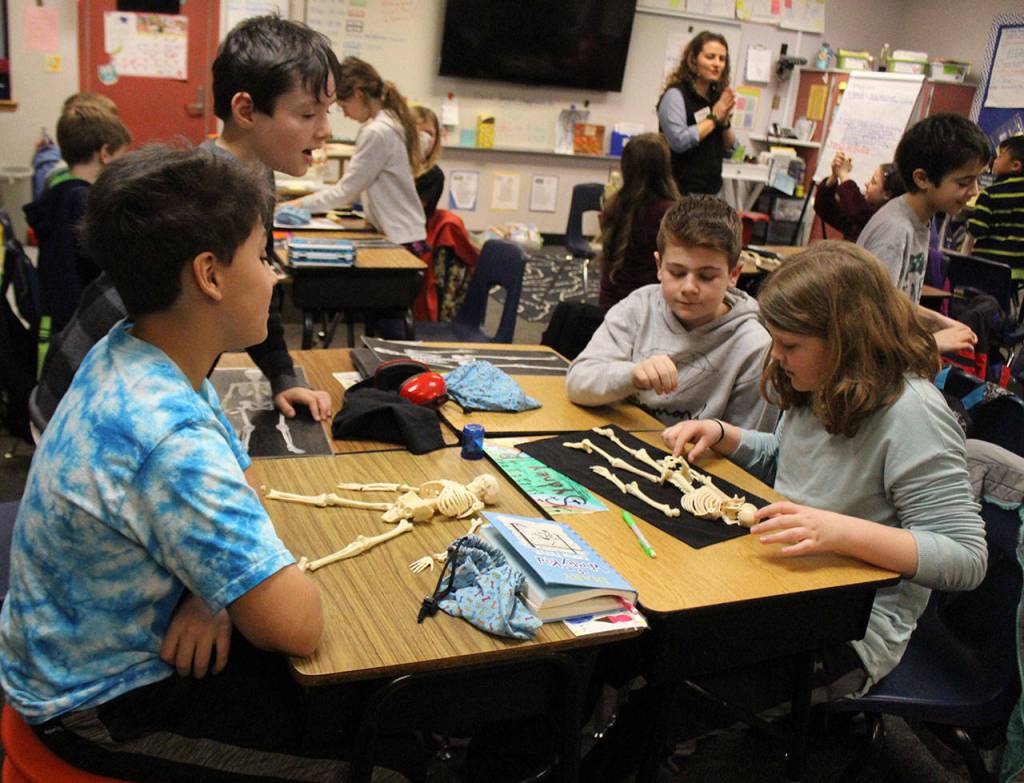 During each classroom workshop, students learned about the functions of joints, X-Rays and more. At one point during the fourth grade presentation, students were tasked with putting skeleton replicas together. Blake Peterson, Bothell/Kenmore Reporter