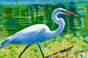 Tsuga to host free reception and book signing