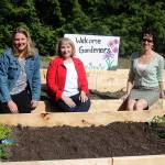Kenmore Community Garden has goals to feed the hungry, connect neighbors