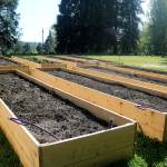 Kenmore Community Garden has goals to feed the hungry, connect neighbors