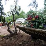 A view of Iron Mountain. Photo by Caean Couto