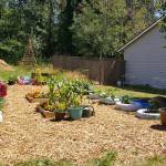 The 13th Place Garden is still thriving about a month after it was established by Denise Tarter and her neighbors in June. Photo courtesy of Denise Tarter